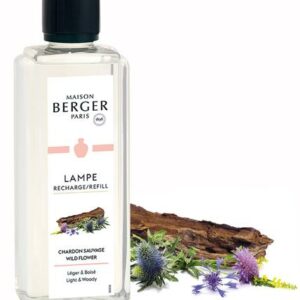 Wilde Distelblüte