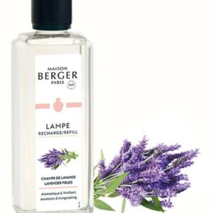 Blühender Lavendel